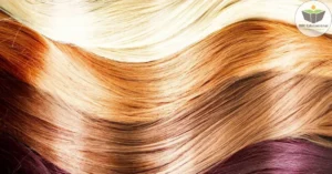 Curso de Coloração de Cabelos: o…