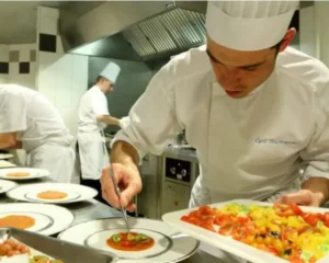 Curso de Técnico em Gastronomia: o…