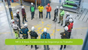 Cursos SENAI das Normas Regulamentadoras em…