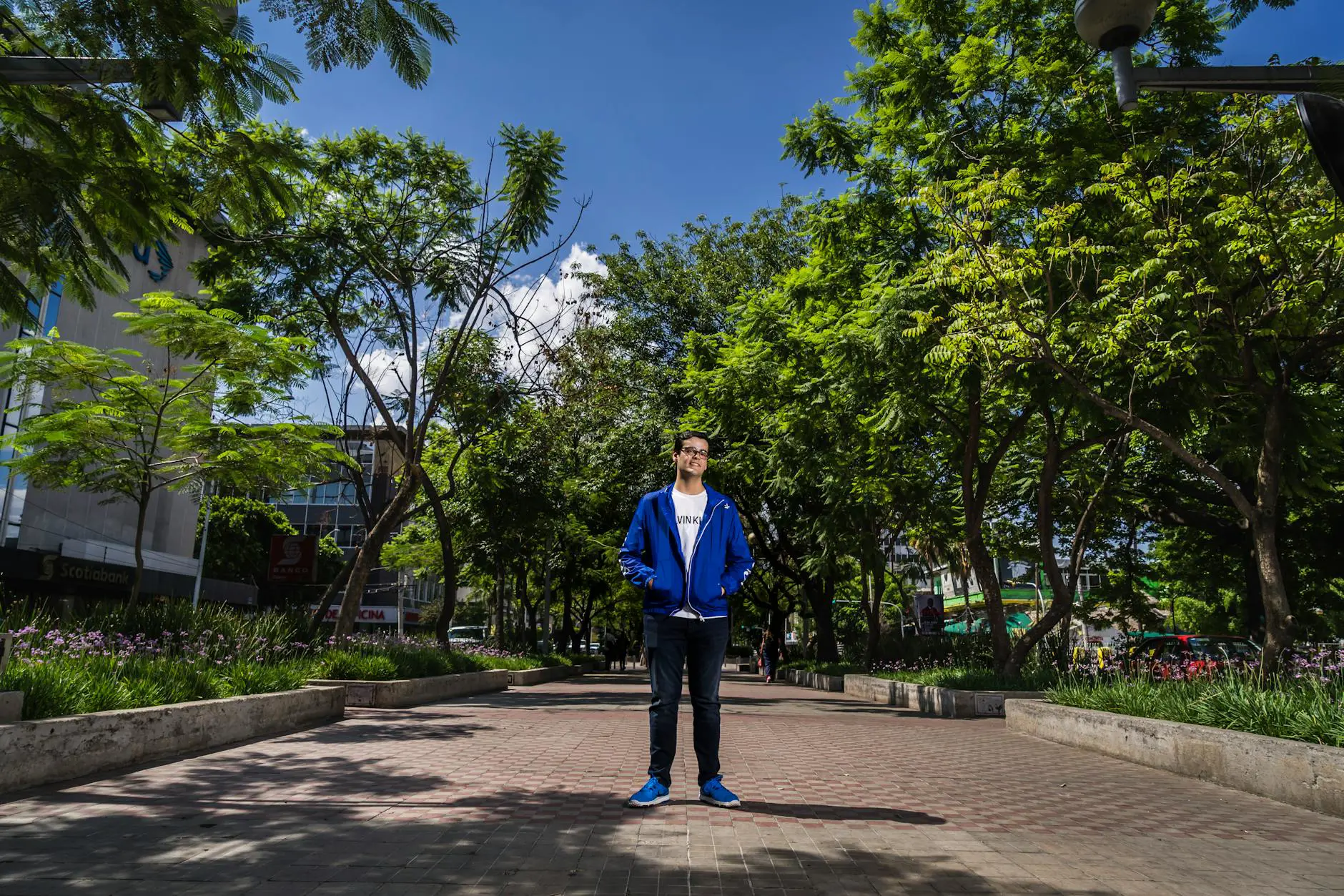A young man in casual attire stands on a sunlit pathway in a city park, surrounded by lush green trees.
