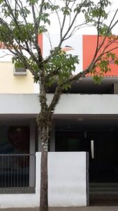 Senac Resende: como fazer um curso…
