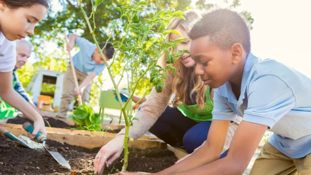 curso de jardinagem do Senac com preparo de solo e mudas